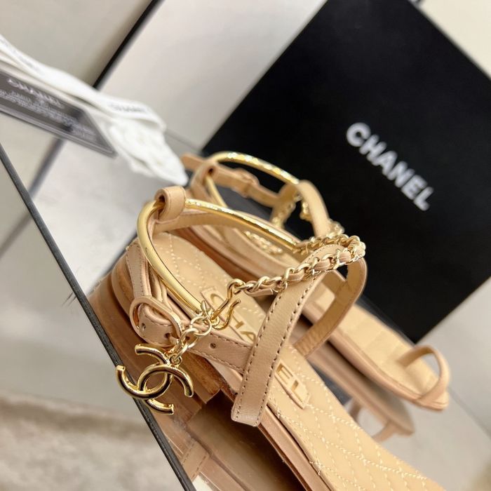 Chanel Shoes CHS00296