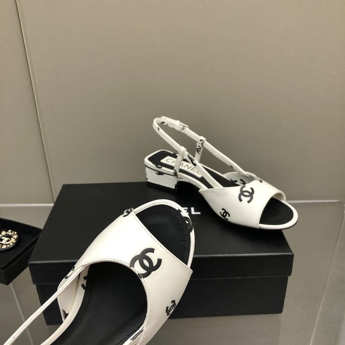 Chanel Shoes CHS00347