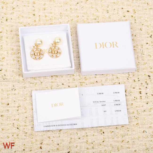 Dior Earrings CE8550