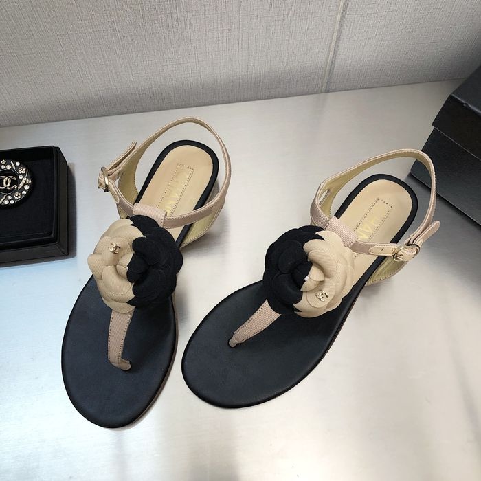 Chanel Shoes CHS00538 Heel 2.5CM