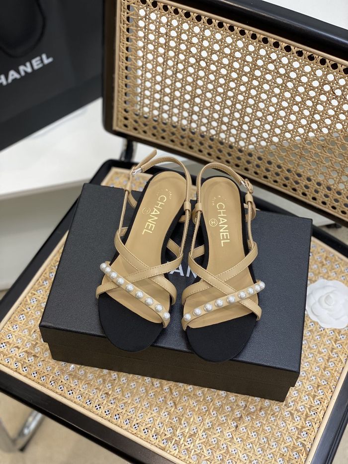 Chanel Shoes CHS00667