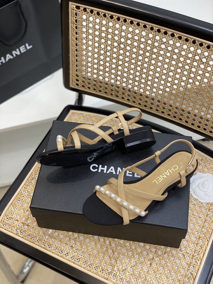 Chanel Shoes CHS00667