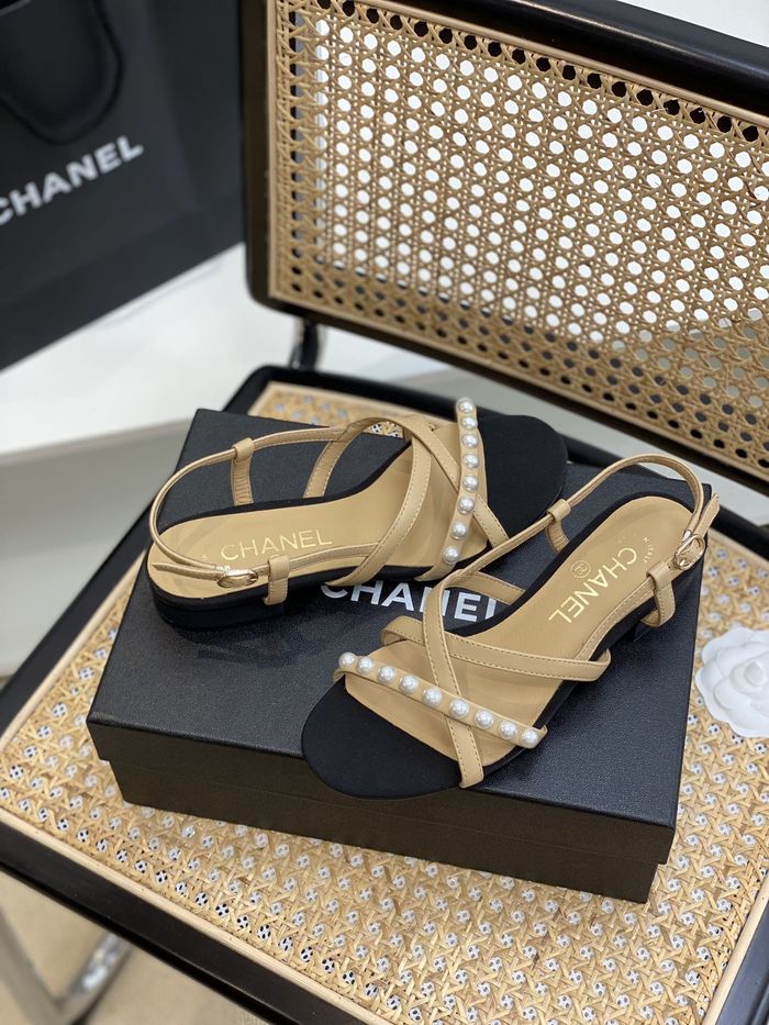 Chanel Shoes CHS00667