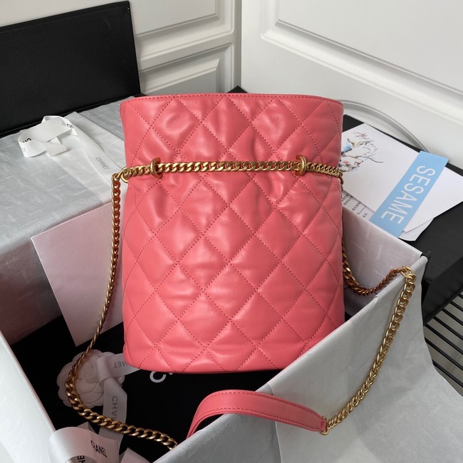 Chanel Drawstring Bag & Gold Metal AS3117 pink