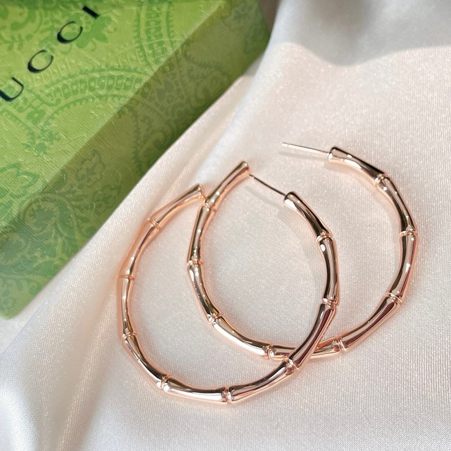 Gucci Earrings CE8569