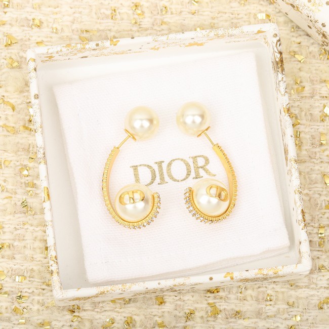 Dior Earrings CE8647