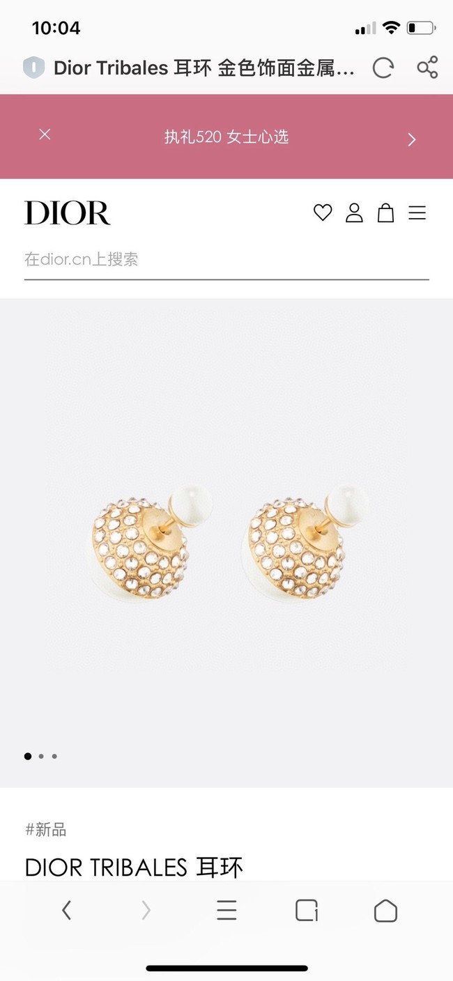 Dior Earrings CE8665