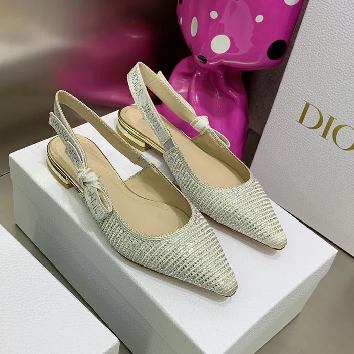 Dior Shoes DIS00008