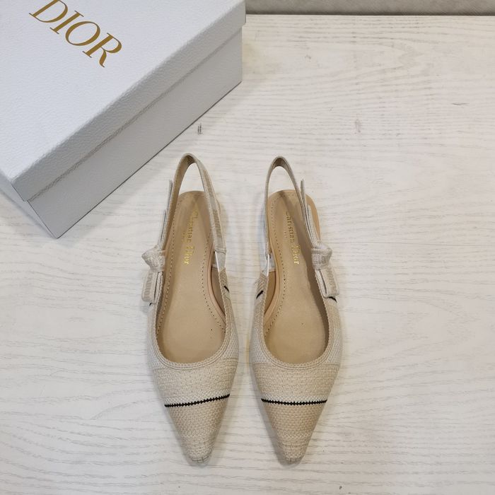 Dior Shoes DIS00057