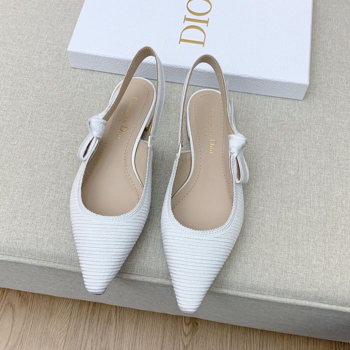 Dior Shoes DIS00063