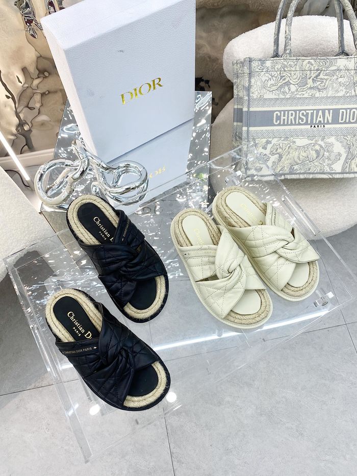 Dior Shoes DIS00125