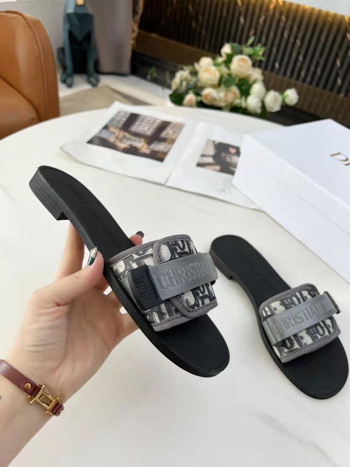 Dior Shoes DIS00147