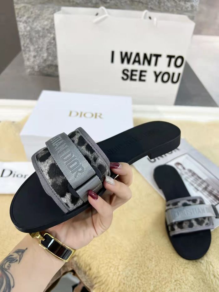 Dior Shoes DIS00149