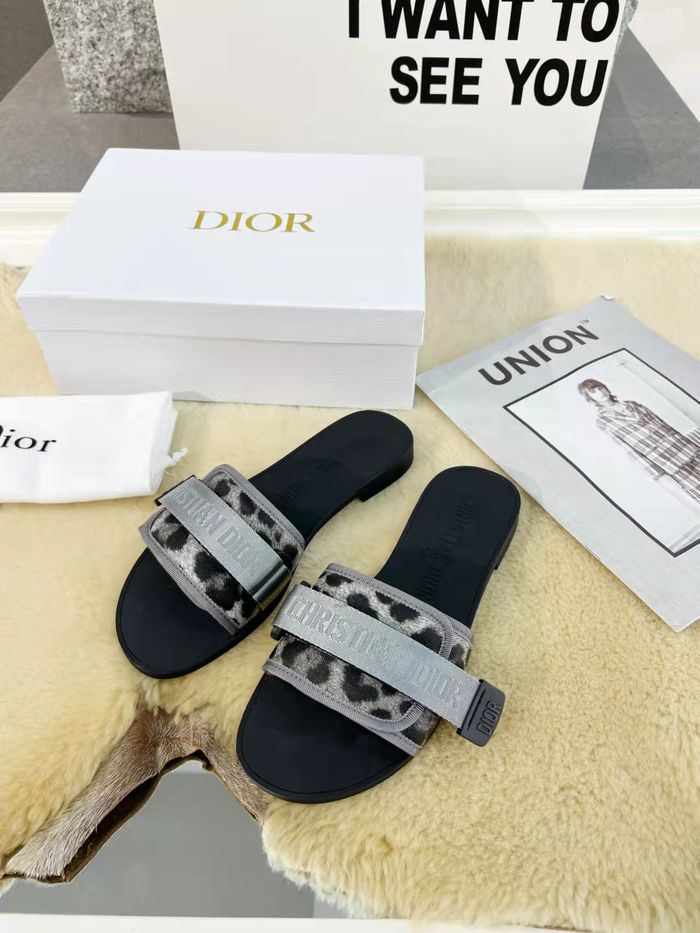 Dior Shoes DIS00149