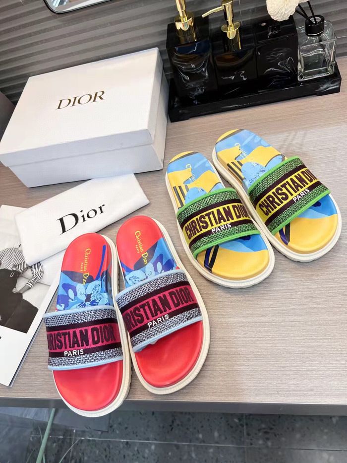 Dior Shoes DIS00151