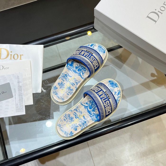 Dior Shoes DIS00168