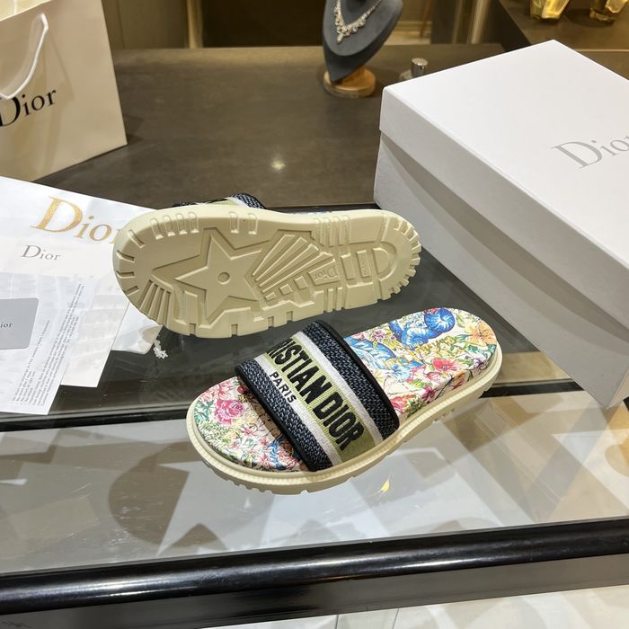 Dior Shoes DIS00171