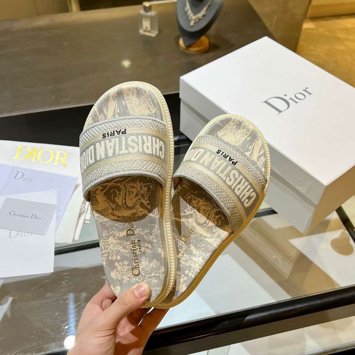 Dior Shoes DIS00174