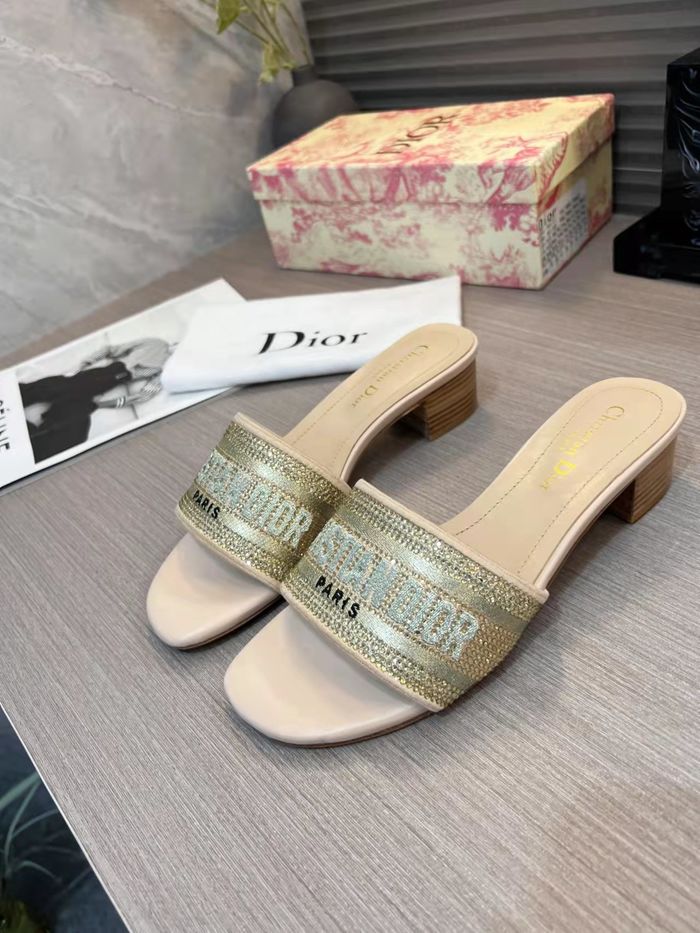 Dior Shoes DIS00199