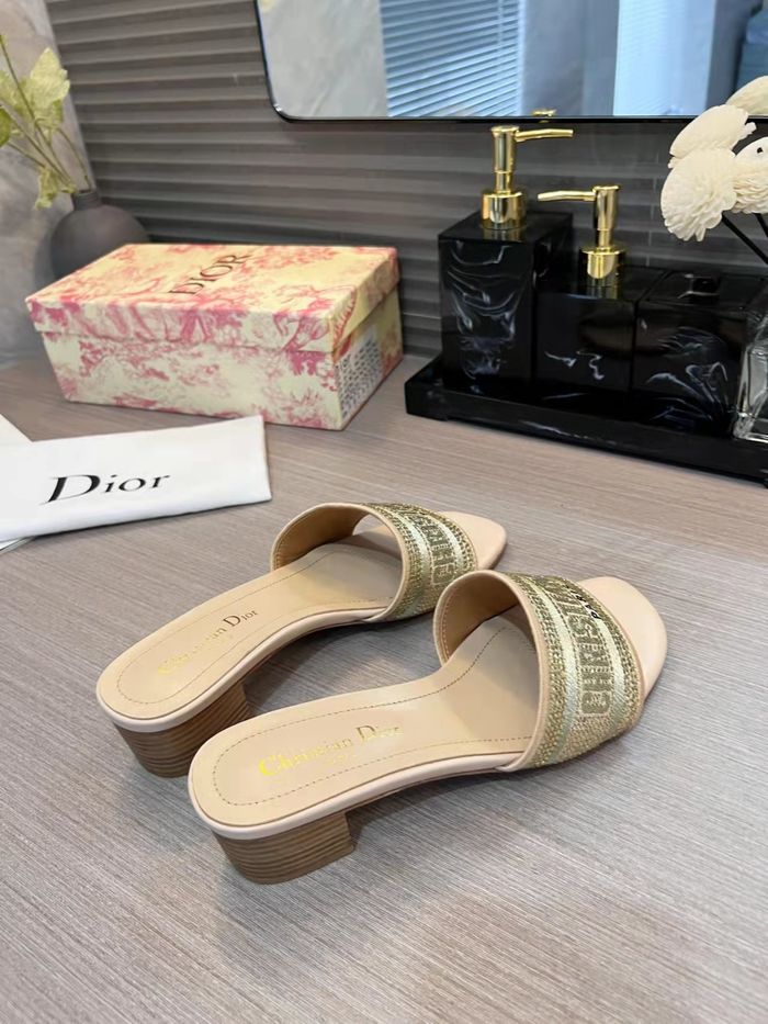 Dior Shoes DIS00199