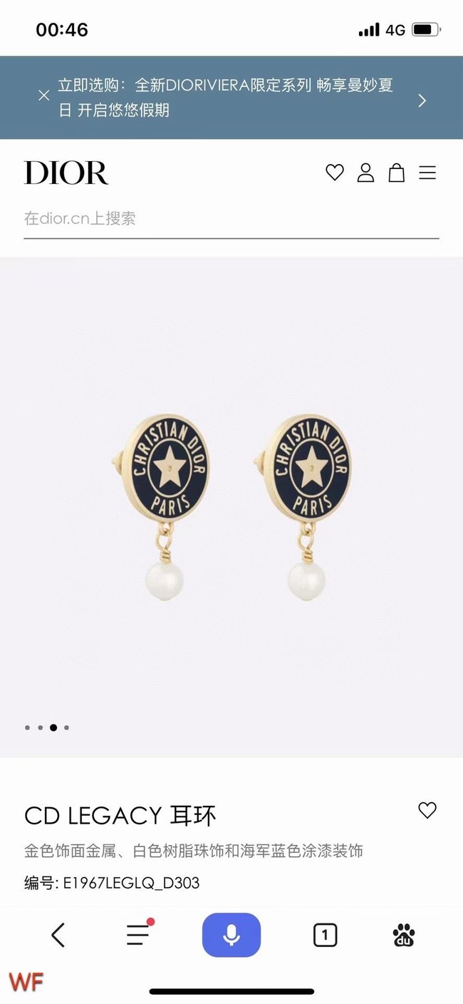 Dior Earrings CE8676