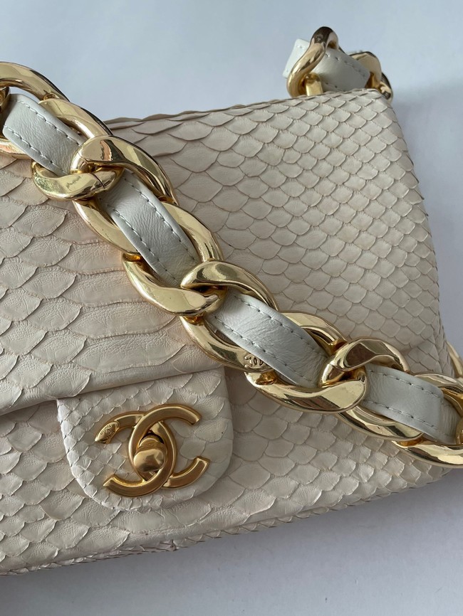 Chanel SMALL FLAP BAG Snakeskin & Gold-Tone Metal AS3214 Beige