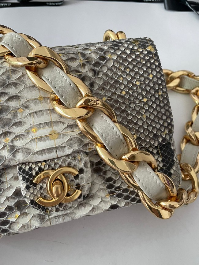 Chanel SMALL FLAP BAG Snakeskin & Gold-Tone Metal AS3214 gray