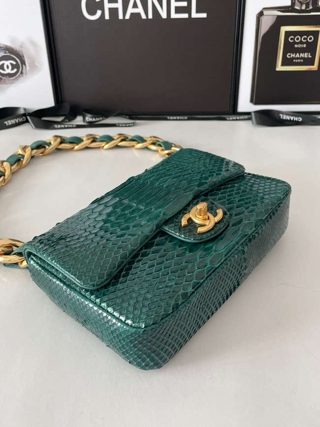 Chanel SMALL FLAP BAG Snakeskin & Gold-Tone Metal AS3214 green