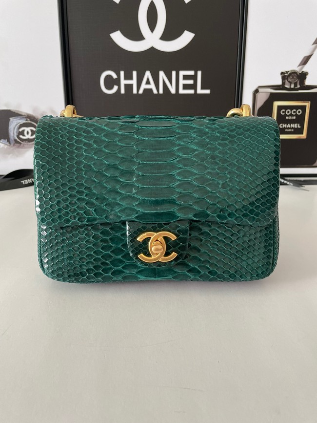 Chanel SMALL FLAP BAG Snakeskin & Gold-Tone Metal AS3214 green