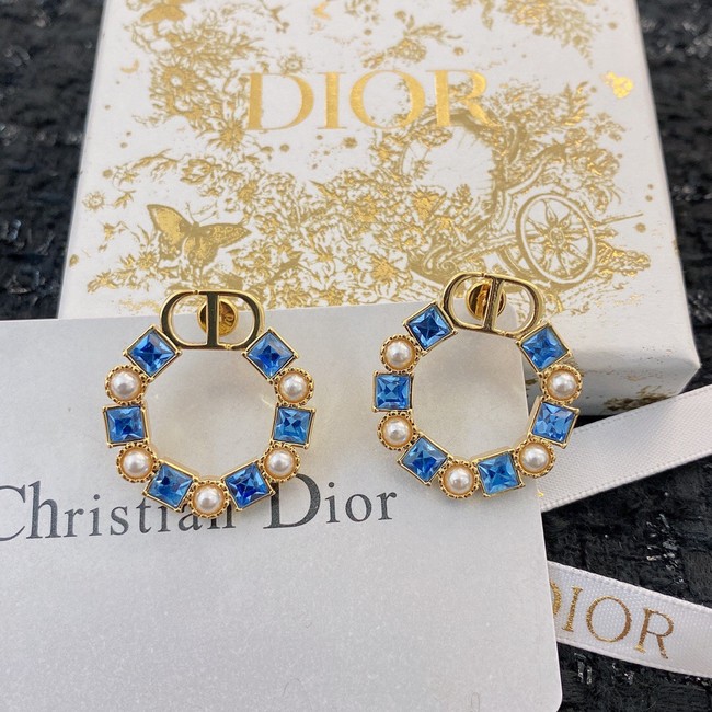 Dior Earrings CE8911