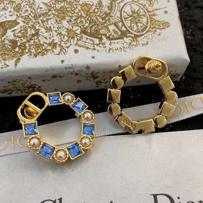 Dior Earrings CE8911