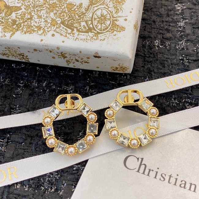 Dior Earrings CE8912