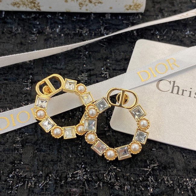 Dior Earrings CE8912