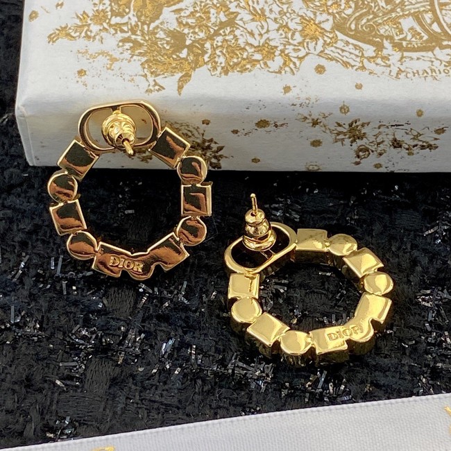 Dior Earrings CE8912