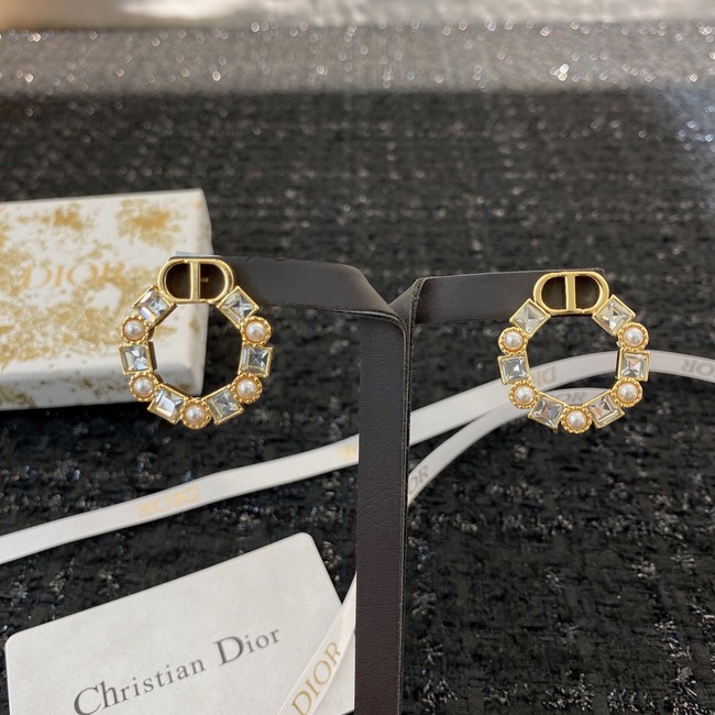 Dior Earrings CE8912