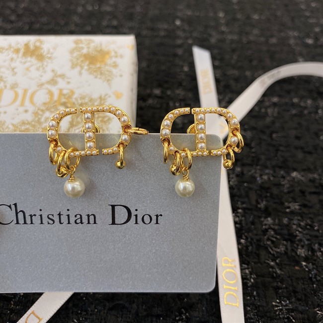 Dior Earrings CE8913