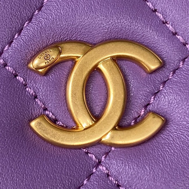 Chanel SMALL VANITY CASE Lambskin & Gold-Tone Metal AS3318 Purple