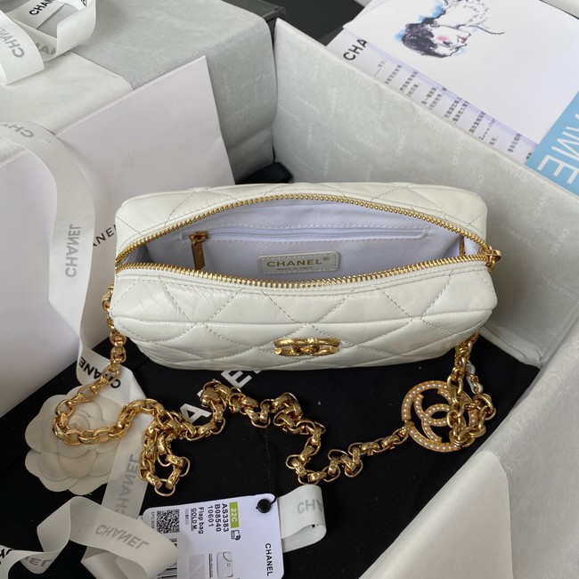 Chanel MINI CAMERA CASE AS3383 white