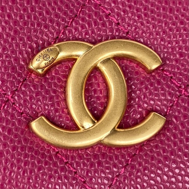 CHANEL CLUTCH WITH CHAIN AP2857 Plum