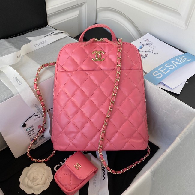 Chanel Lambskin & Gold-Tone Metal Backpack AS3332 pink