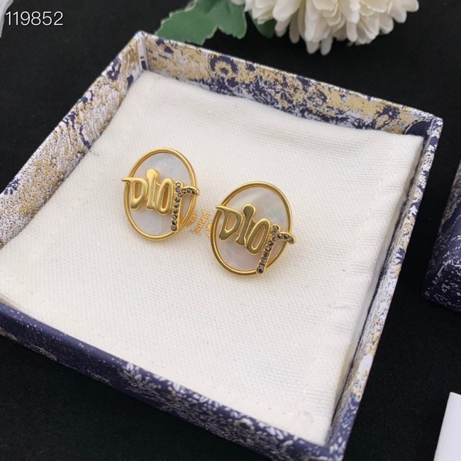 Dior Earrings CE8976