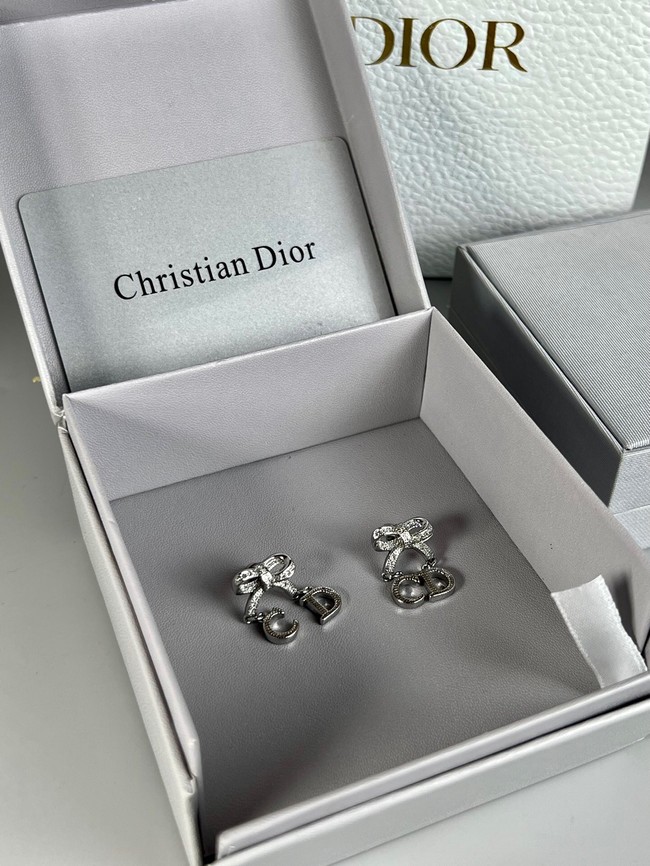 Dior Earrings CE8979