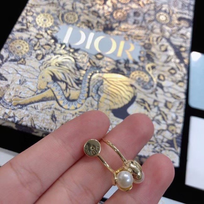 Dior Earrings CE9003