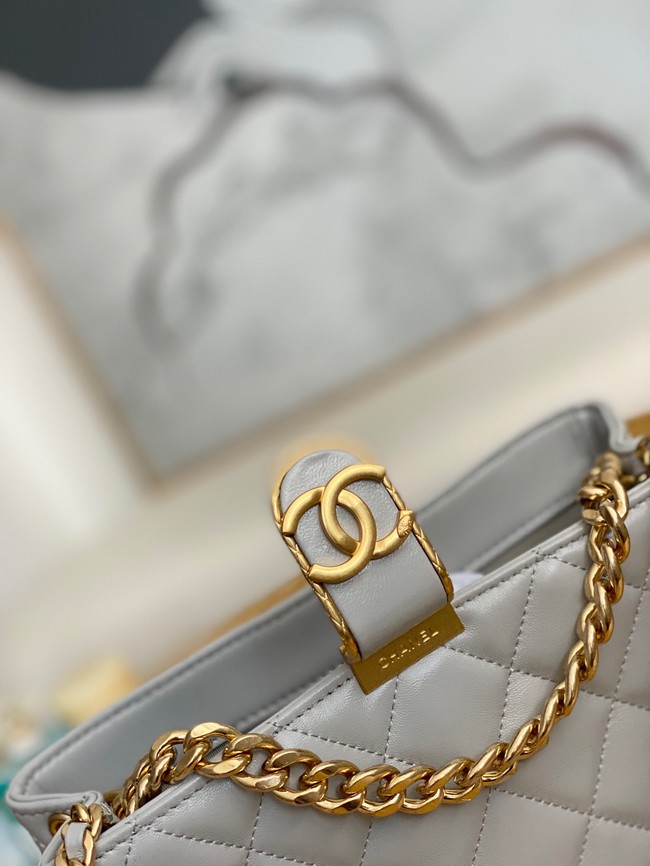 Chanel SMALL HOBO BAG AS3476 gray