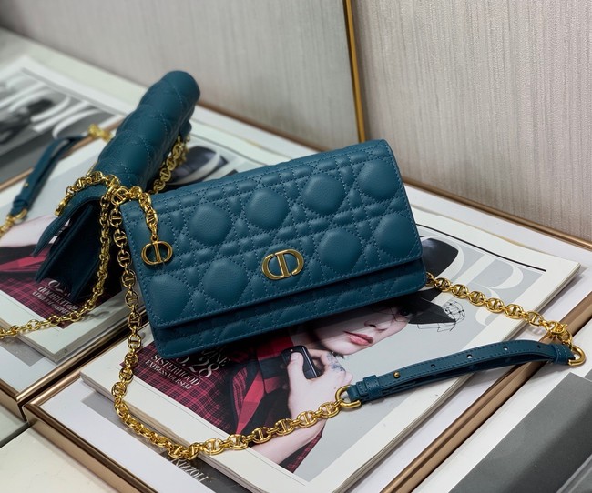 Dior BELT POUCH 2273 blue