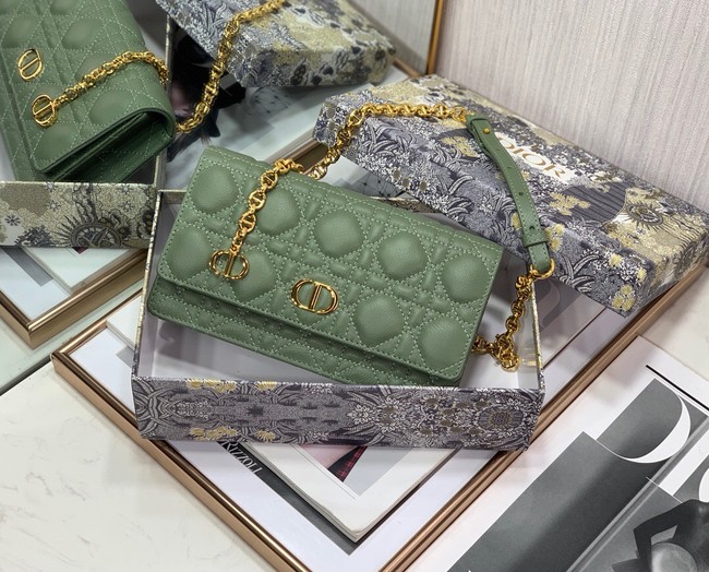 Dior BELT POUCH 2273 green