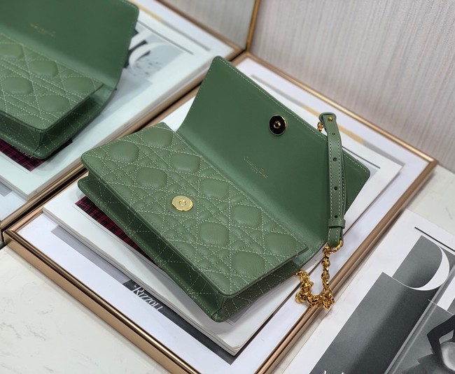 Dior BELT POUCH 2273 green