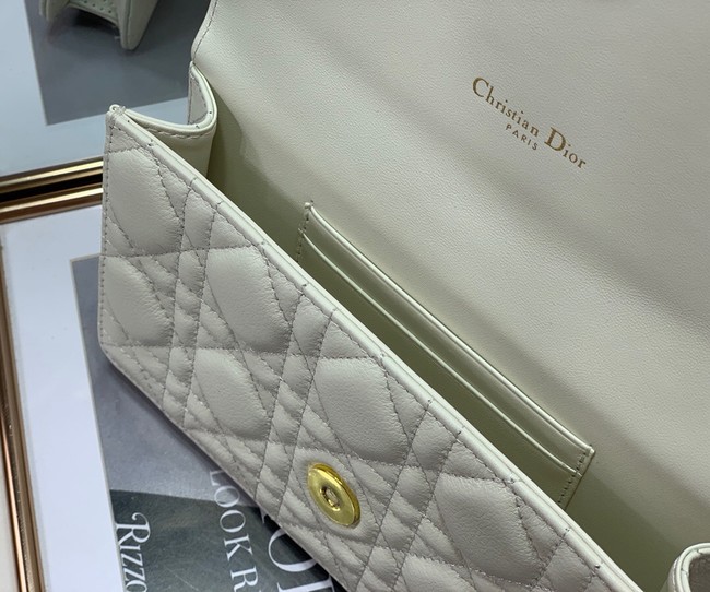 Dior BELT POUCH 2273 white