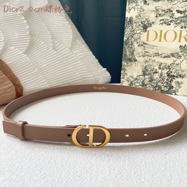 Dior Leather Belt 20MM 2796