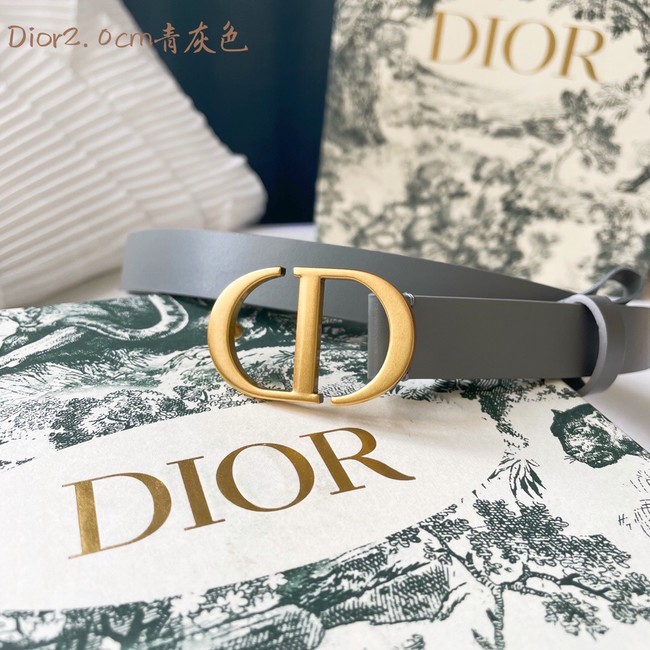 Dior Leather Belt 20MM 2799